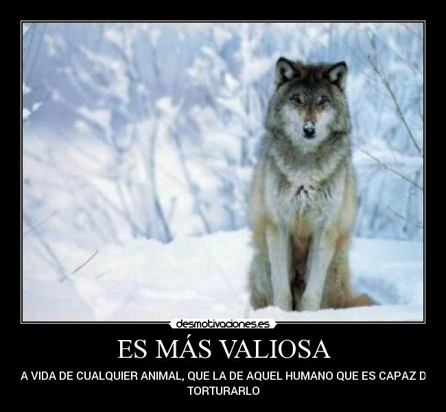 carteles vida los animales desmotivaciones