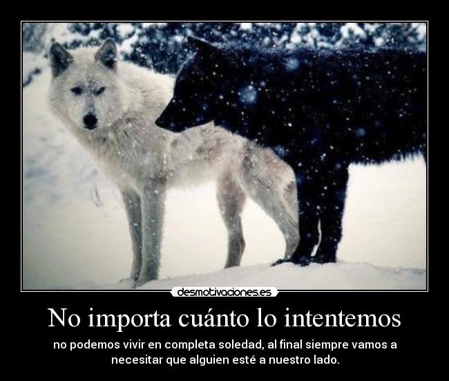 No importa cuánto lo intentemos - no podemos vivir en completa soledad, al final siempre vamos a
necesitar que alguien esté a nuestro lado.