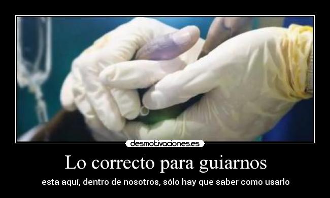 Lo correcto para guiarnos - 