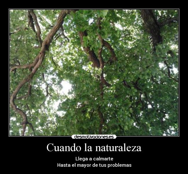 Cuando la naturaleza - Llega a calmarte
Hasta el mayor de tus problemas