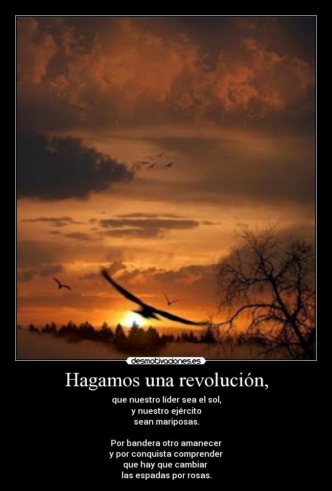 Hagamos una revolución, -