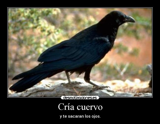 Cría cuervo - y te sacaran los ojos.