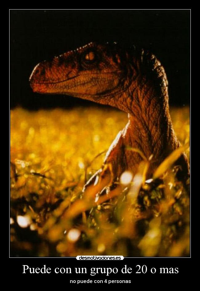 Puede con un grupo de 20 o mas -