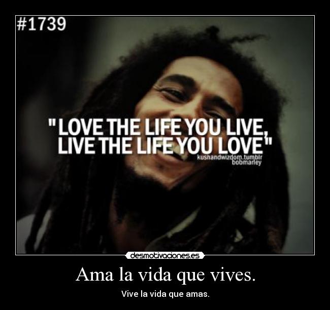 Ama la vida que vives. - Vive la vida que amas.