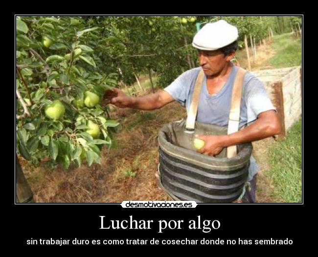 Luchar por algo -