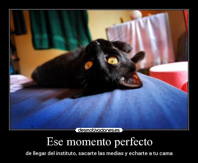 Ese momento perfecto - de llegar del instituto, sacarte las medias y echarte a tu cama