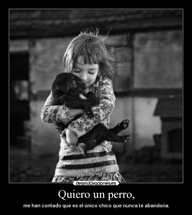Quiero un perro, -