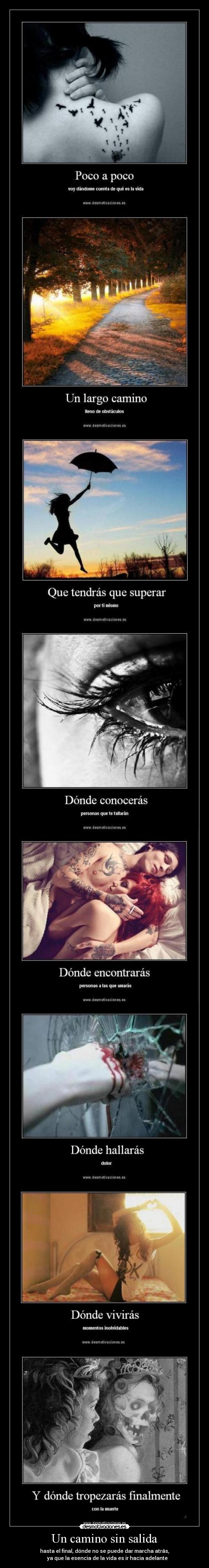 Un camino sin salida - 