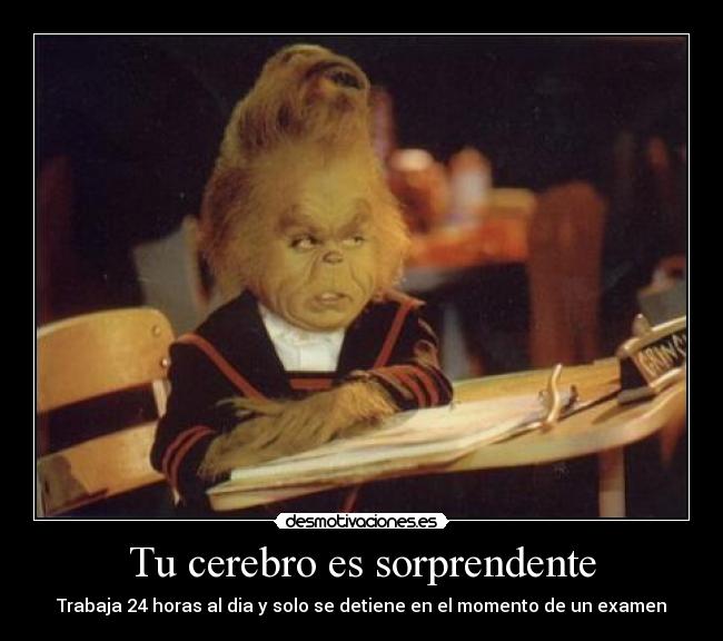 Tu cerebro es sorprendente - Trabaja 24 horas al dia y solo se detiene en el momento de un examen