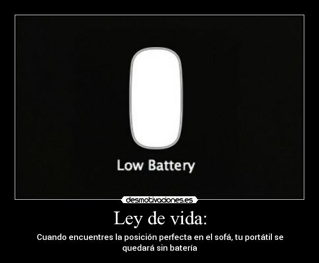Ley de vida: -