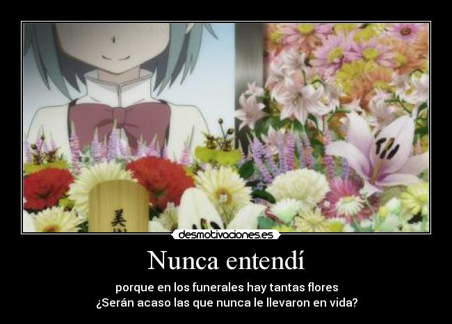 Nunca entendí - porque en los funerales hay tantas flores
¿Serán acaso las que nunca le llevaron en vida?