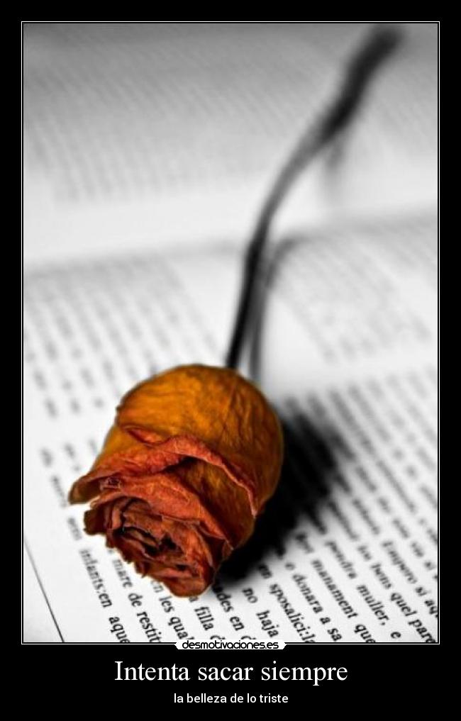Intenta sacar siempre - la belleza de lo triste
