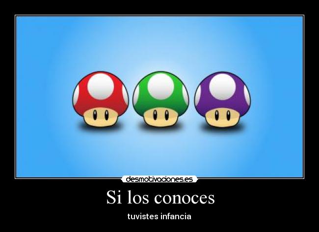 Si los conoces - 