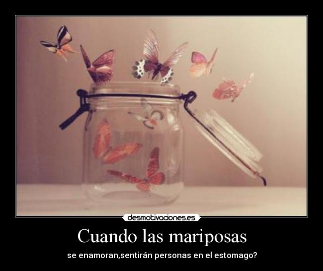 Cuando las mariposas - 