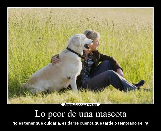 Lo peor de una mascota -