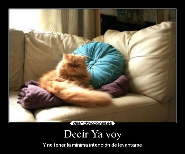 Decir Ya voy -