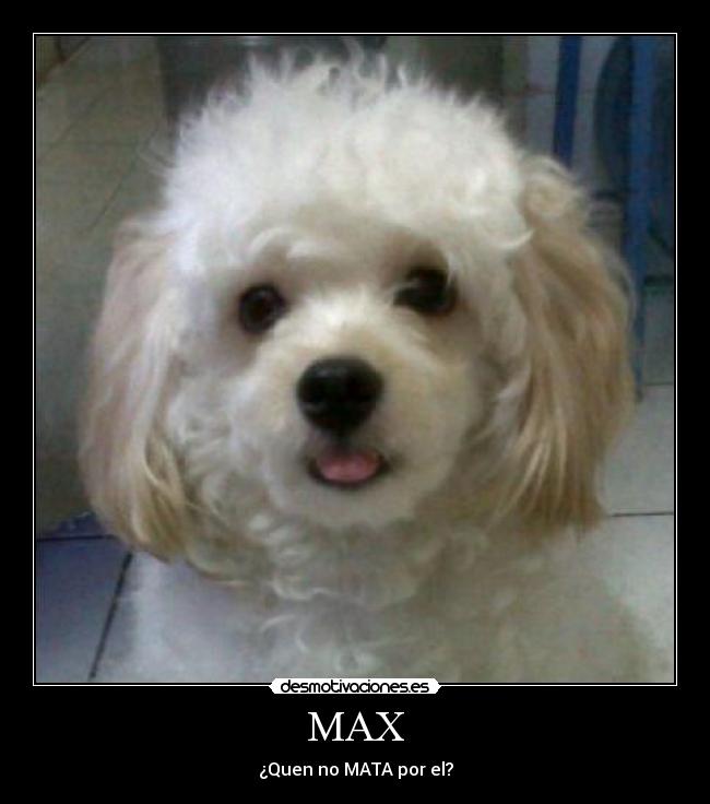 carteles mayarakg desmotivaciones