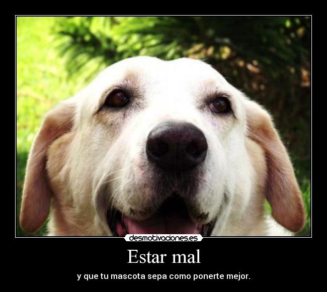 Estar mal -