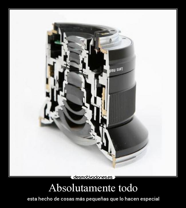 Absolutamente todo -