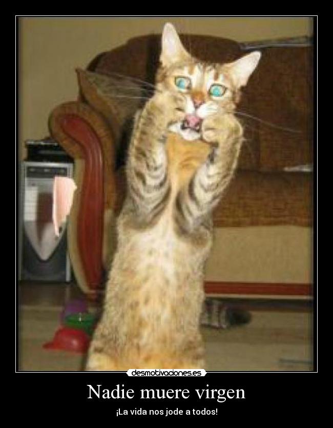 Nadie muere virgen -