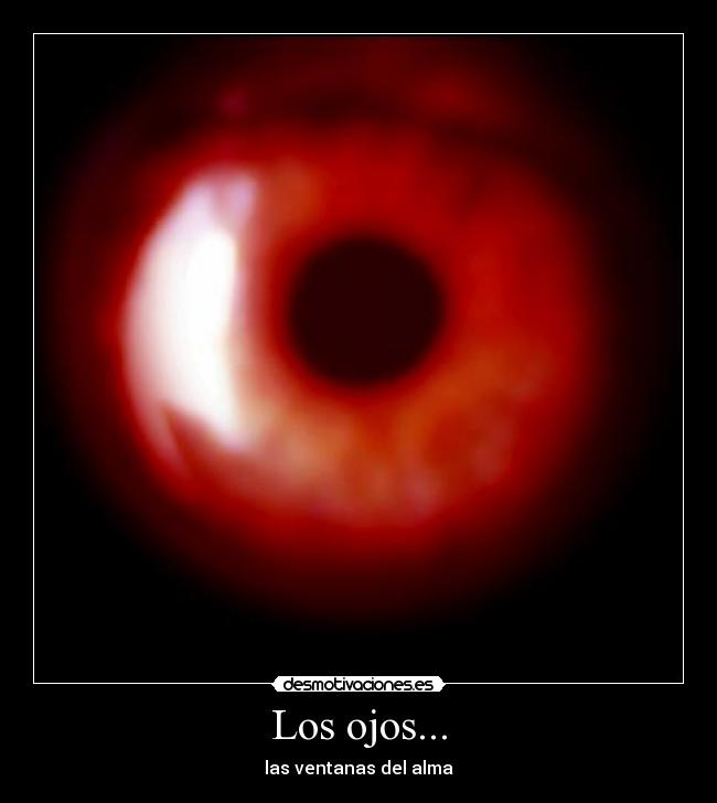 Los ojos... - las ventanas del alma