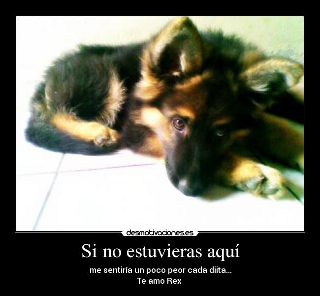 Si no estuvieras aquí -