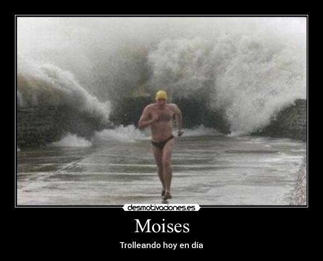 Moises - 