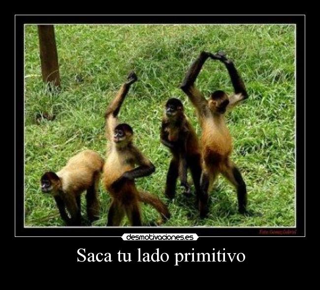 Saca tu lado primitivo - 