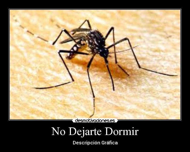 No Dejarte Dormir - Descripción Gráfica