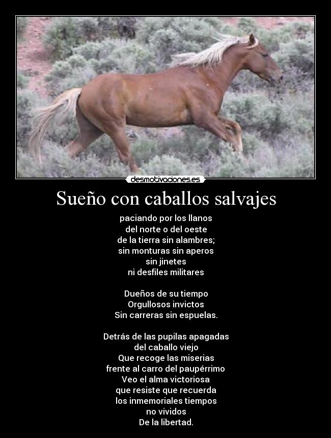Sueño con caballos salvajes -