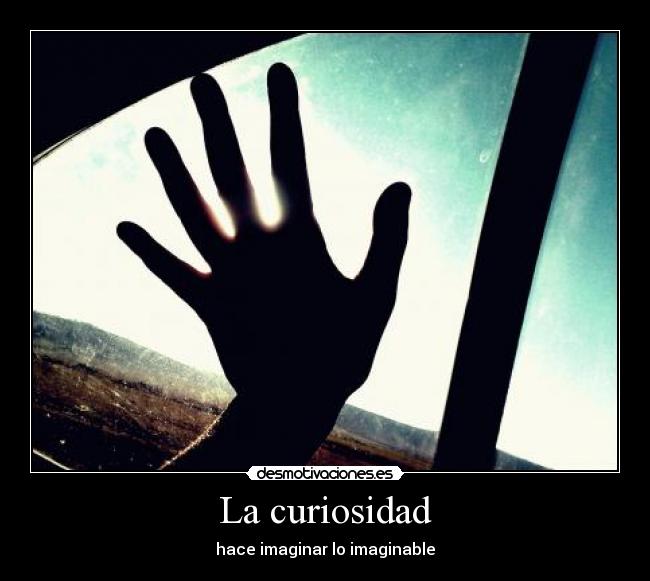 La curiosidad - 