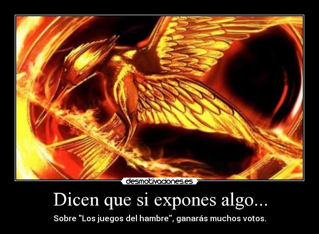 carteles juegos del hambre trolleada anonimo13 desmotivaciones