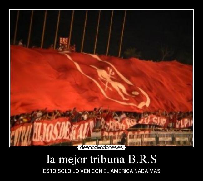 la mejor tribuna B.R.S - ESTO SOLO LO VEN CON EL AMERICA NADA MAS