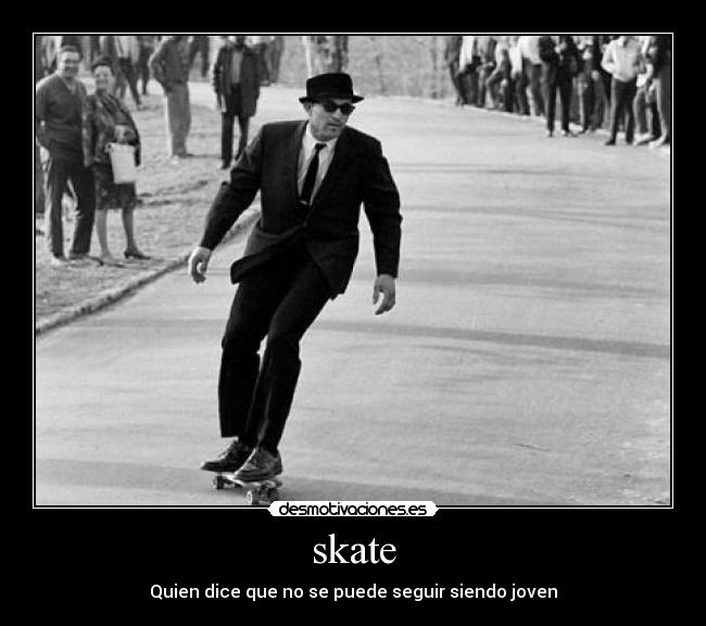 carteles mapachon reyna desmotivaciones