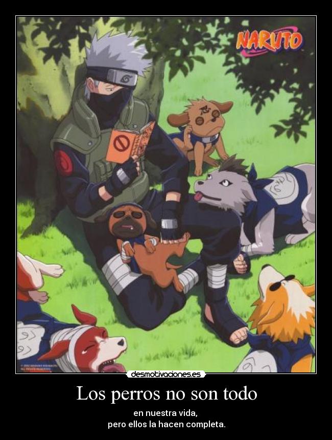 Los perros no son todo - en nuestra vida, 
pero ellos la hacen completa.