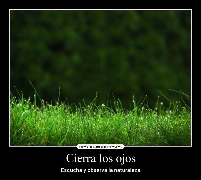 Cierra los ojos -