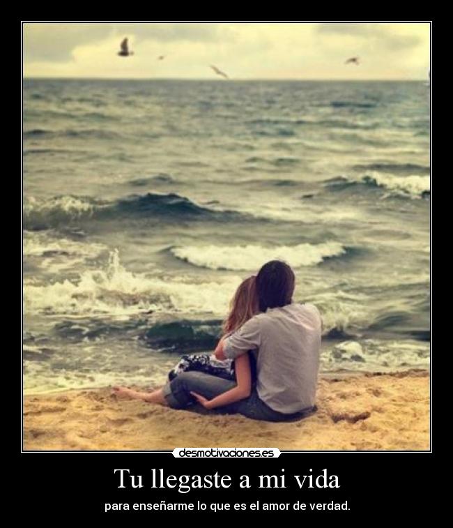 Tu llegaste a mi vida - para enseñarme lo que es el amor de verdad.