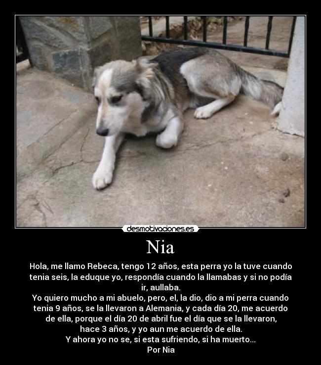Nia - Hola, me llamo Rebeca, tengo 12 años, esta perra yo la tuve cuando
tenia seis, la eduque yo, respondía cuando la llamabas y si no podía
ir, aullaba.
Yo quiero mucho a mi abuelo, pero, el, la dio, dio a mi perra cuando
tenia 9 años, se la llevaron a Alemania, y cada día 20, me acuerdo
de ella, porque el día 20 de abril fue el día que se la llevaron,
hace 3 años, y yo aun me acuerdo de ella.
Y ahora yo no se, si esta sufriendo, si ha muerto...
Por Nia