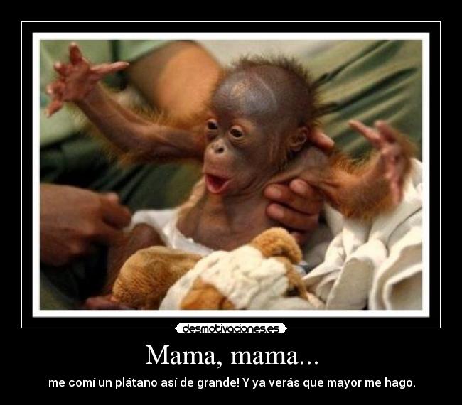Mama, mama... -
