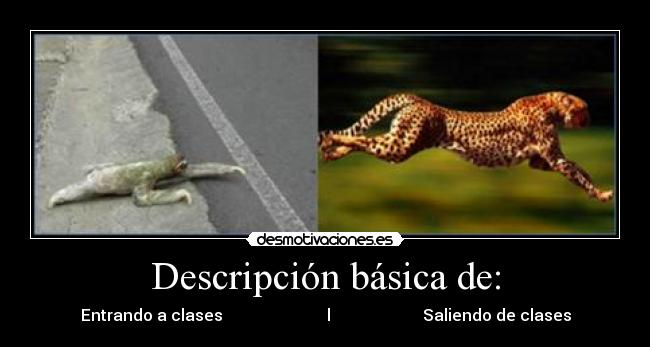 Descripción básica de: - Entrando a clases                          l                       Saliendo de clases