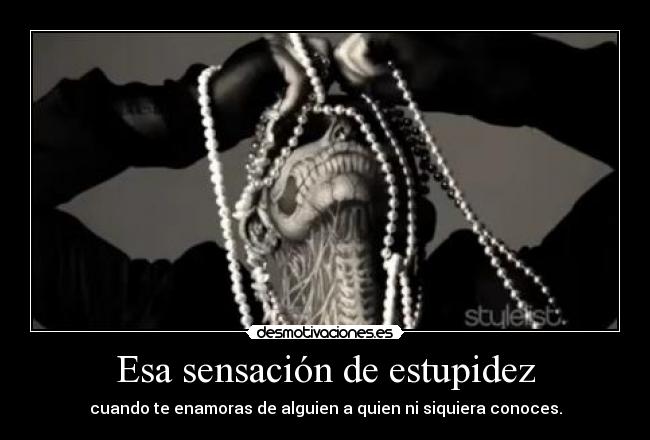 Esa sensación de estupidez - 