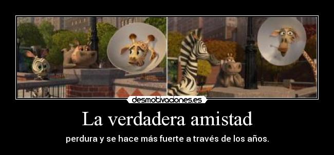 carteles amistad madagascar desmotivaciones
