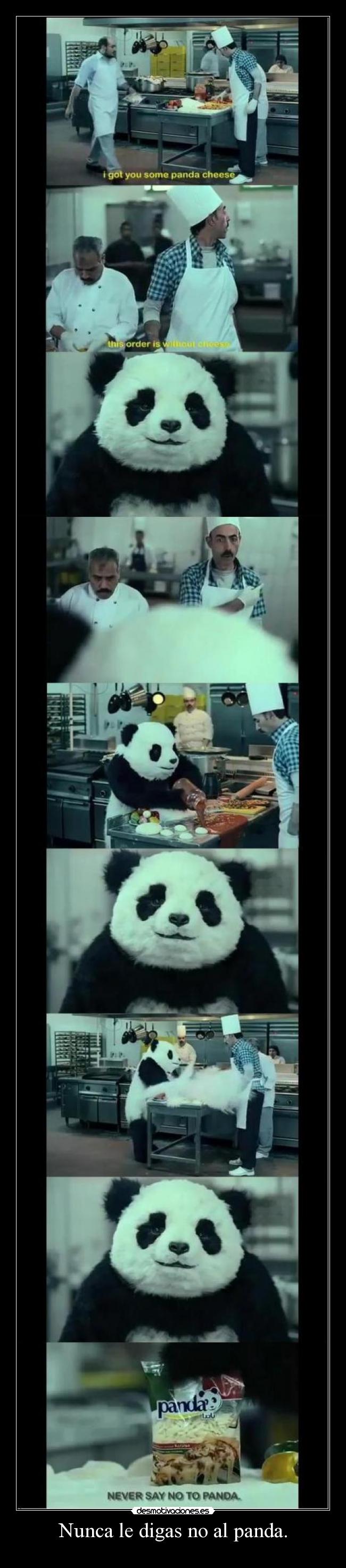 Nunca le digas no al panda. - 