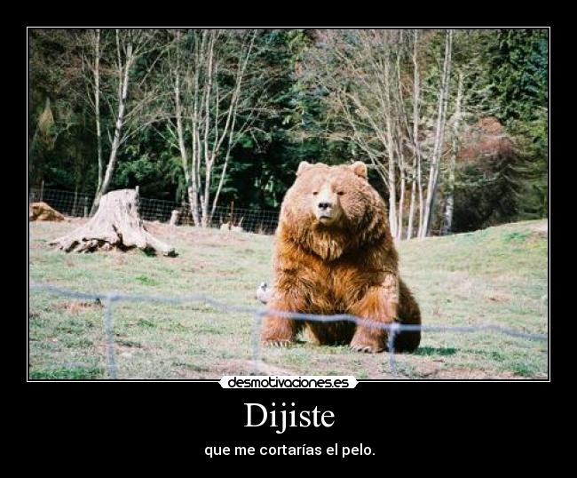 Dijiste - que me cortarías el pelo.