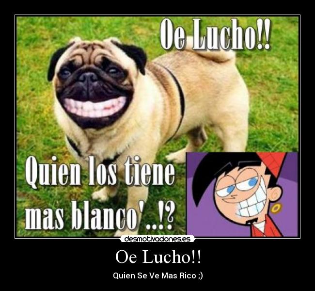 Oe Lucho!! -