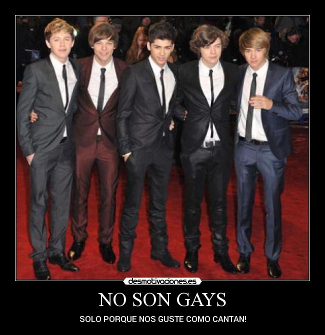 NO SON GAYS -