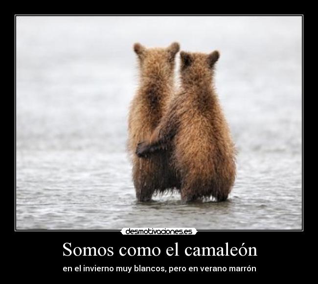 Somos como el camaleón - en el invierno muy blancos, pero en verano marrón