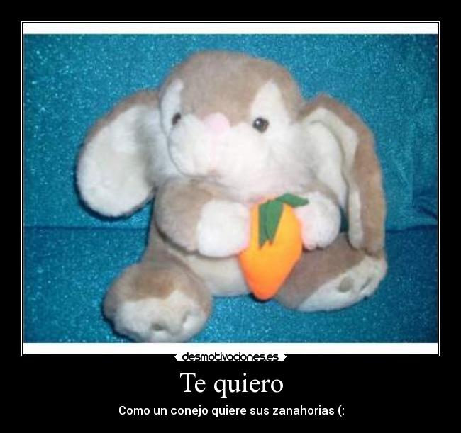 Te quiero - Como un conejo quiere sus zanahorias (: