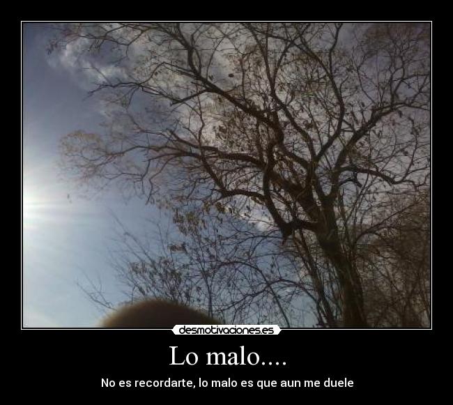 Lo malo.... -