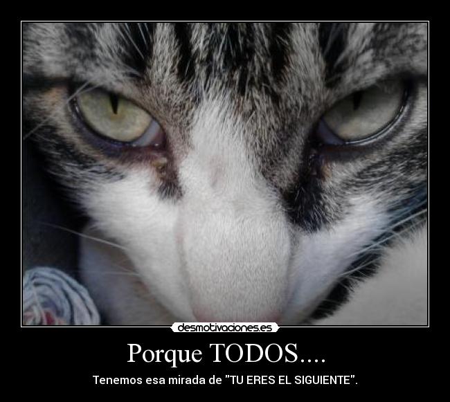 Porque TODOS.... -